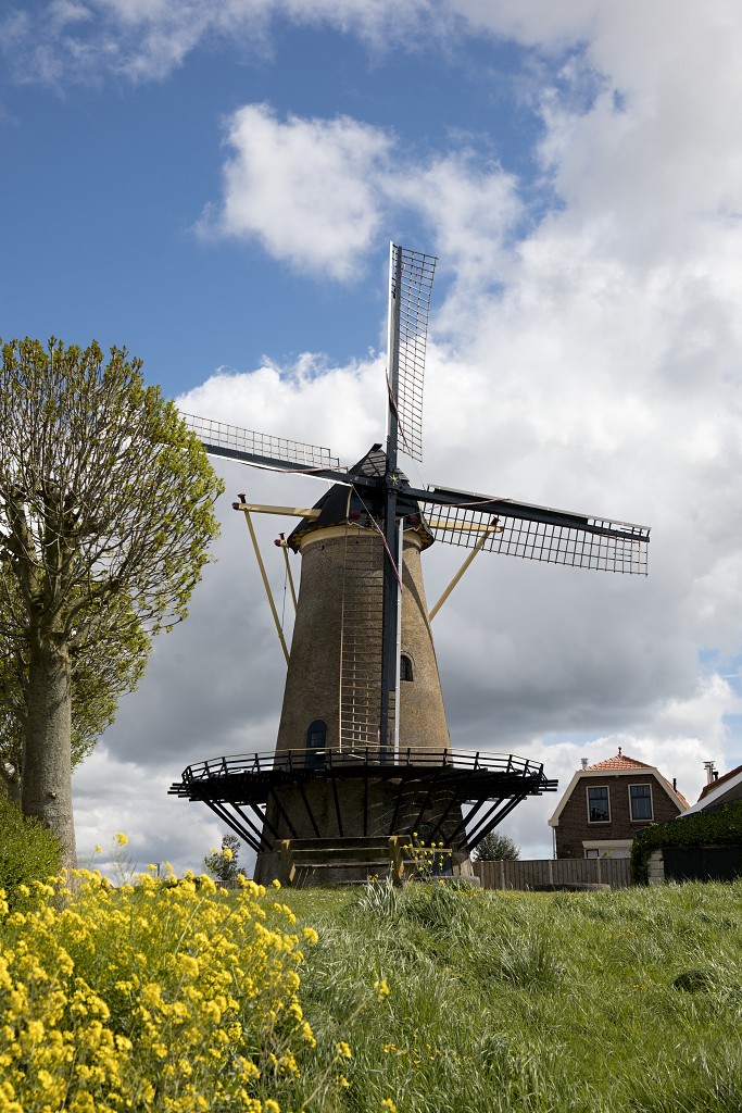 molen molens hdr erfgoed polder landschap windmolen windmolenpark windpark windmolens windturbine windenergie windturbines